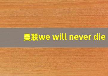 曼联we will never die